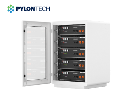 Pin lưu trữ điện Lithium Pylontech US3000C - Ảnh 2